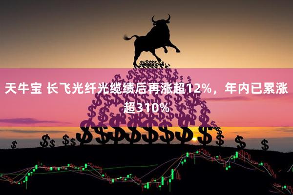 天牛宝 长飞光纤光缆绩后再涨超12%，年内已累涨超310%